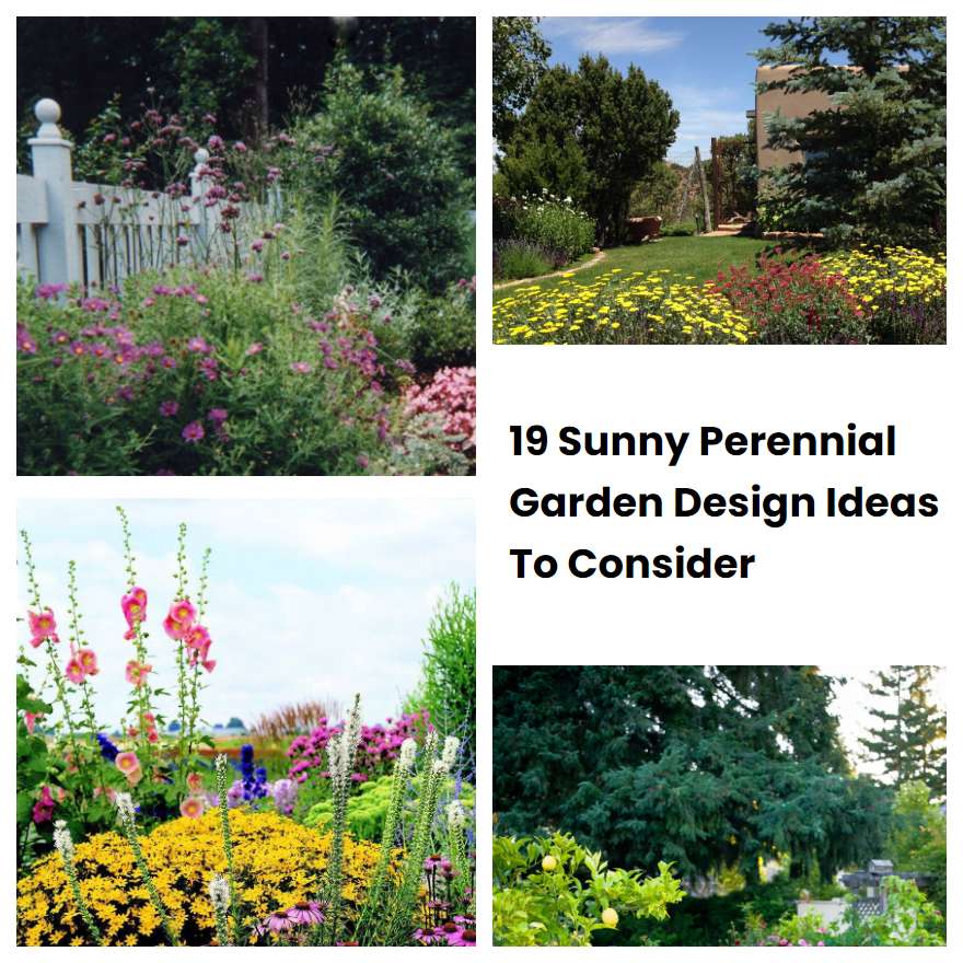 19 Sunny Perennial Garden Design Ideas To Consider