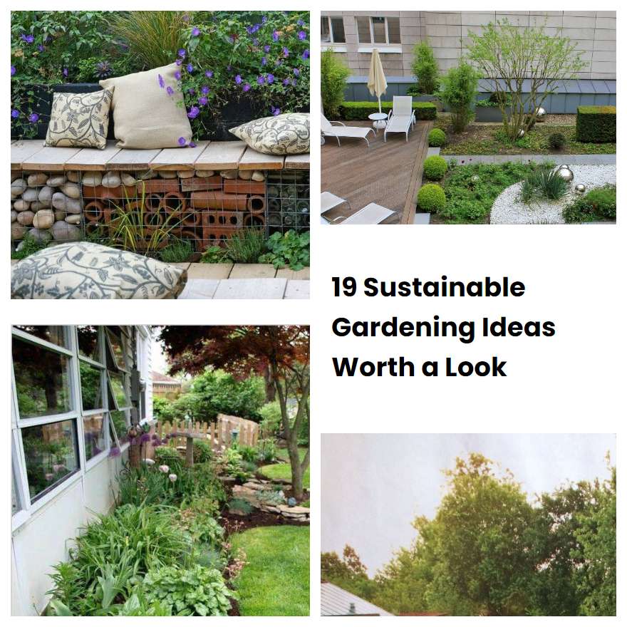 19 Sustainable Gardening Ideas Worth a Look