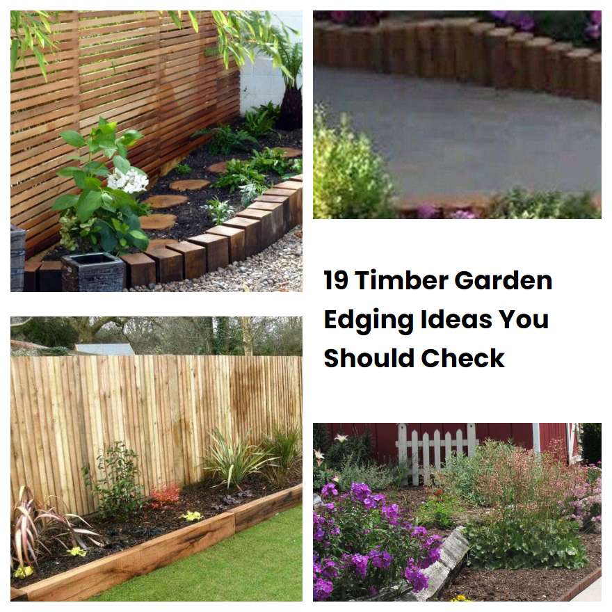 19 Timber Garden Edging Ideas You Should Check SharonSable