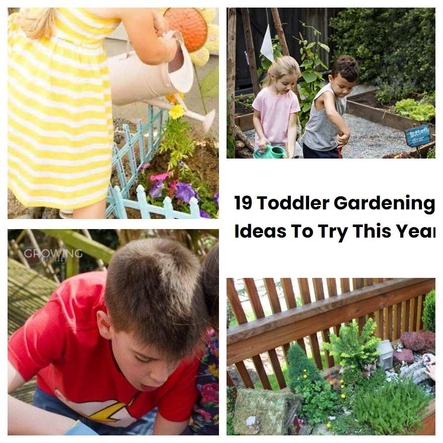 19 Toddler Gardening Ideas To Try This Year SharonSable