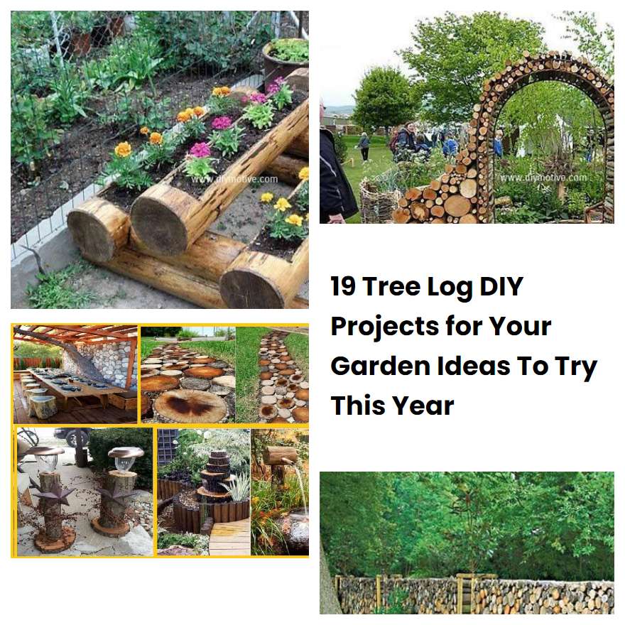 19 Tree Log DIY Projects for Your Garden Ideas To Try This Year