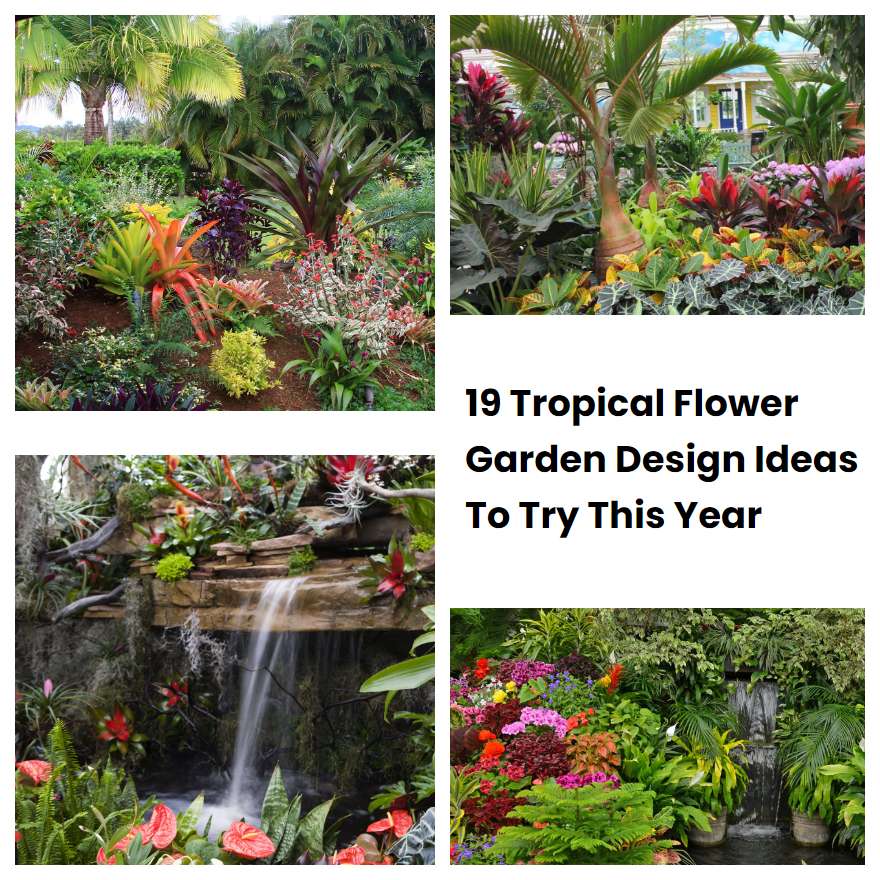 19 Tropical Flower Garden Design Ideas To Try This Year SharonSable