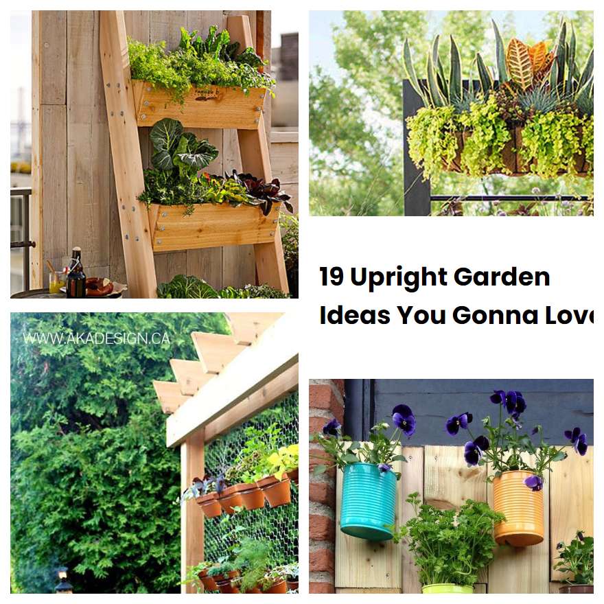 19 Upright Garden Ideas You Gonna Love