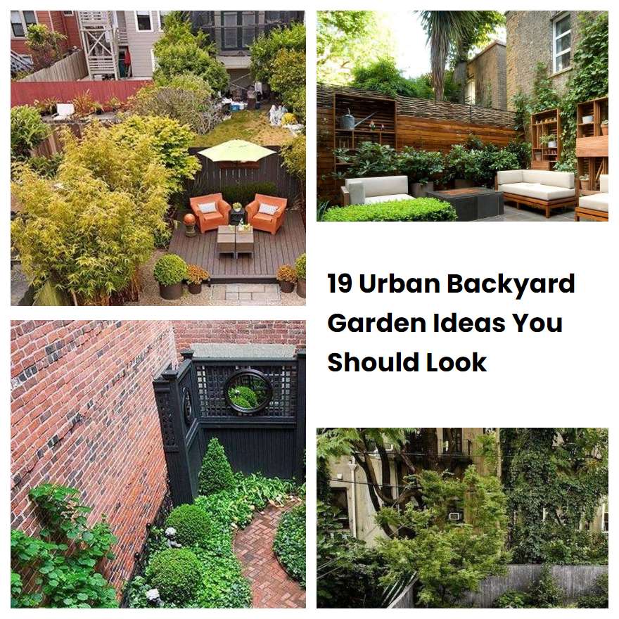 19 Urban Backyard Garden Ideas You Should Look SharonSable