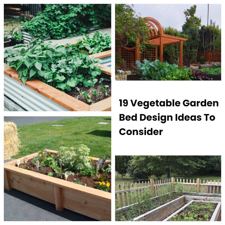 19 Vegetable Garden Bed Design Ideas To Consider