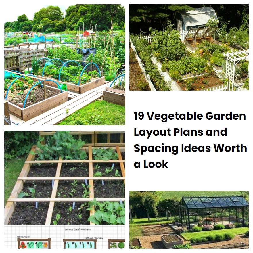 19 Vegetable Garden Layout Plans and Spacing Ideas Worth a Look