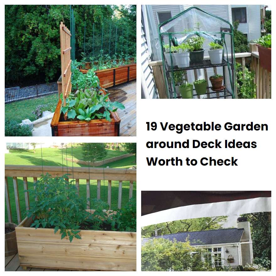 19 Vegetable Garden around Deck Ideas Worth to Check