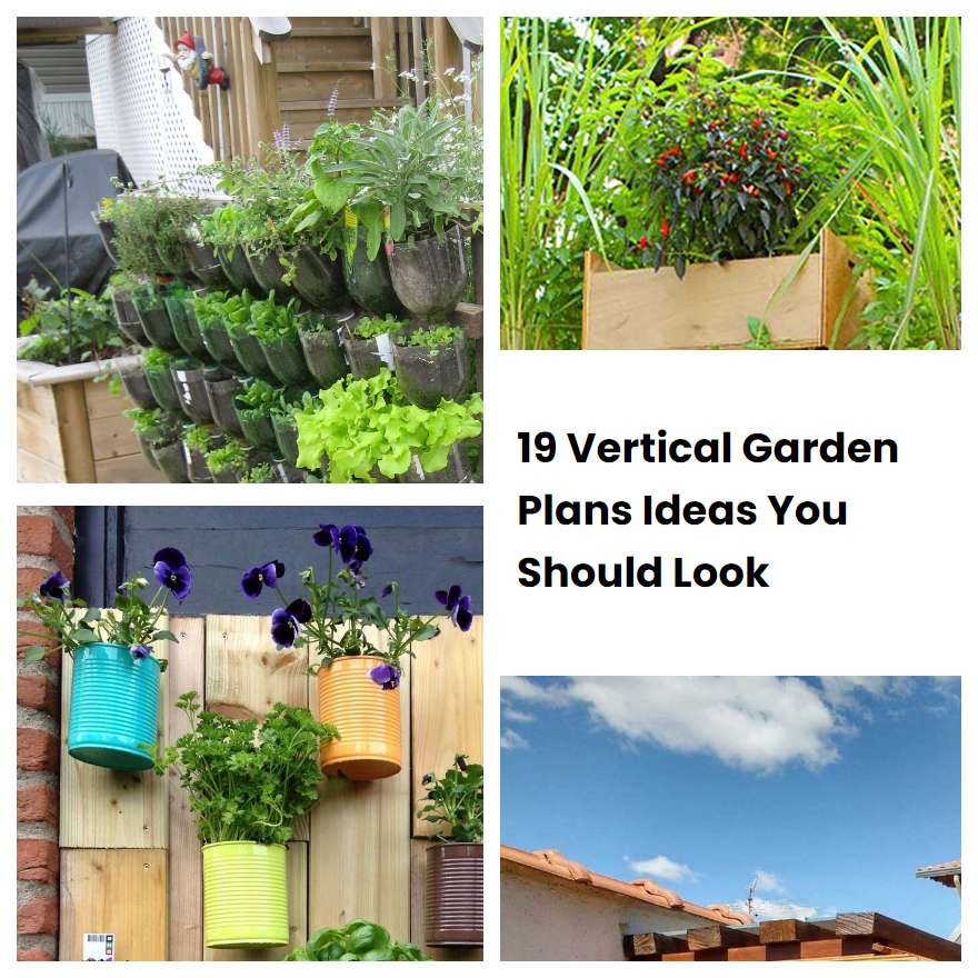 19 Vertical Garden Plans Ideas You Should Look SharonSable