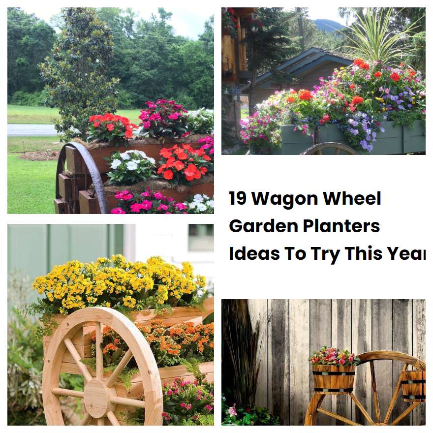 19 Wagon Wheel Garden Planters Ideas To Try This Year SharonSable