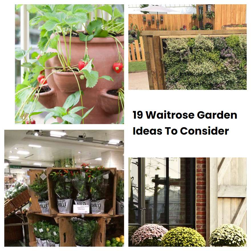 19 Waitrose Garden Ideas To Consider