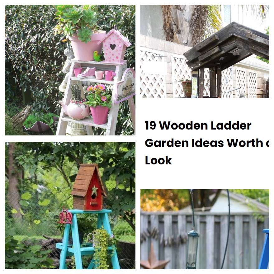 19 Wooden Ladder Garden Ideas Worth a Look SharonSable
