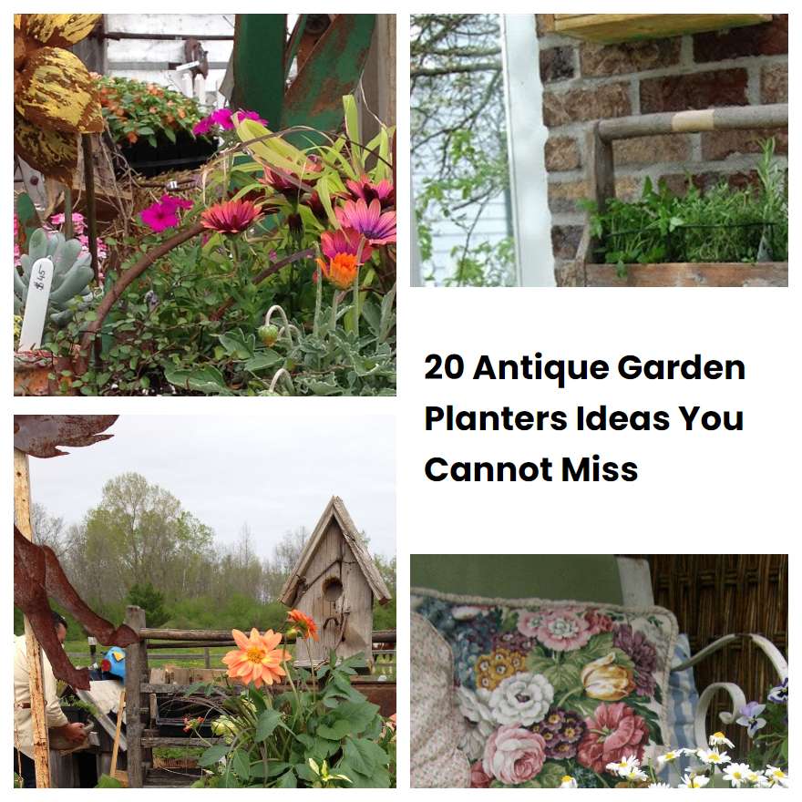 20 Antique Garden Planters Ideas You Cannot Miss