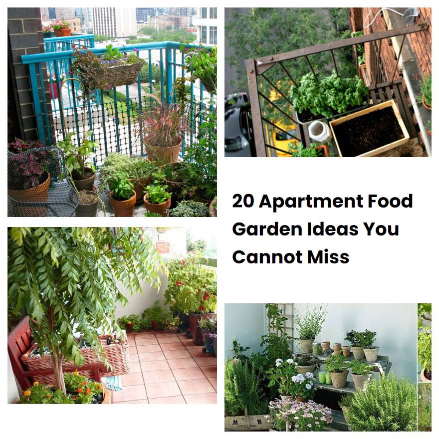 20 Apartment Food Garden Ideas You Cannot Miss