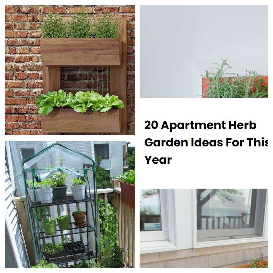 20 Apartment Herb Garden Ideas For This Year SharonSable