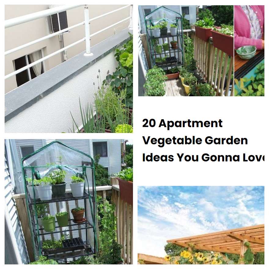 20 Apartment Vegetable Garden Ideas You Gonna Love