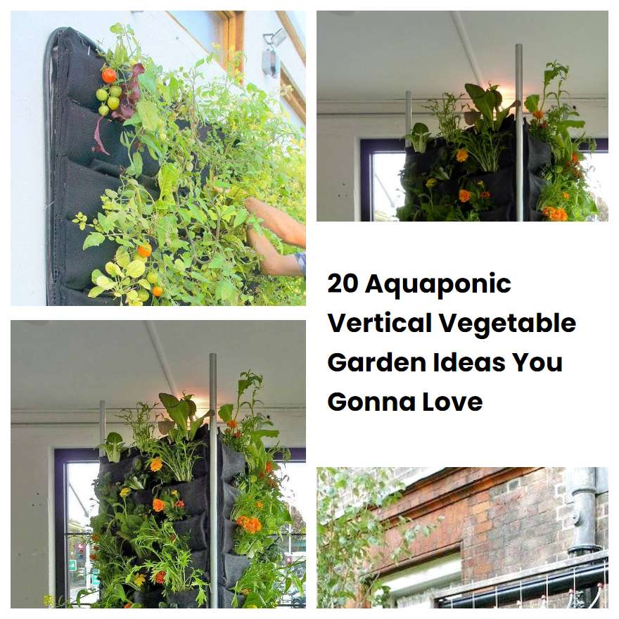 20 Aquaponic Vertical Vegetable Garden Ideas You Gonna Love