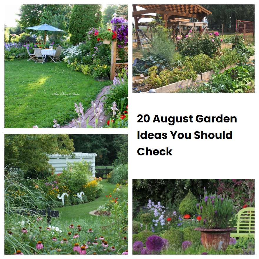20 August Garden Ideas You Should Check