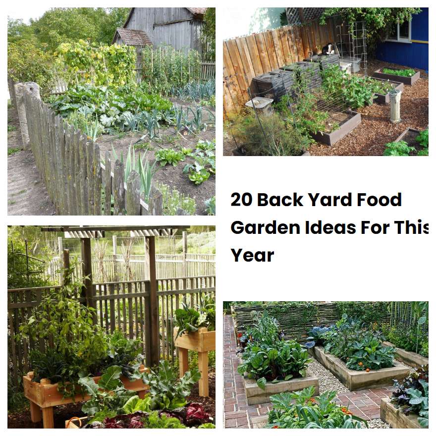 20 Back Yard Food Garden Ideas For This Year SharonSable