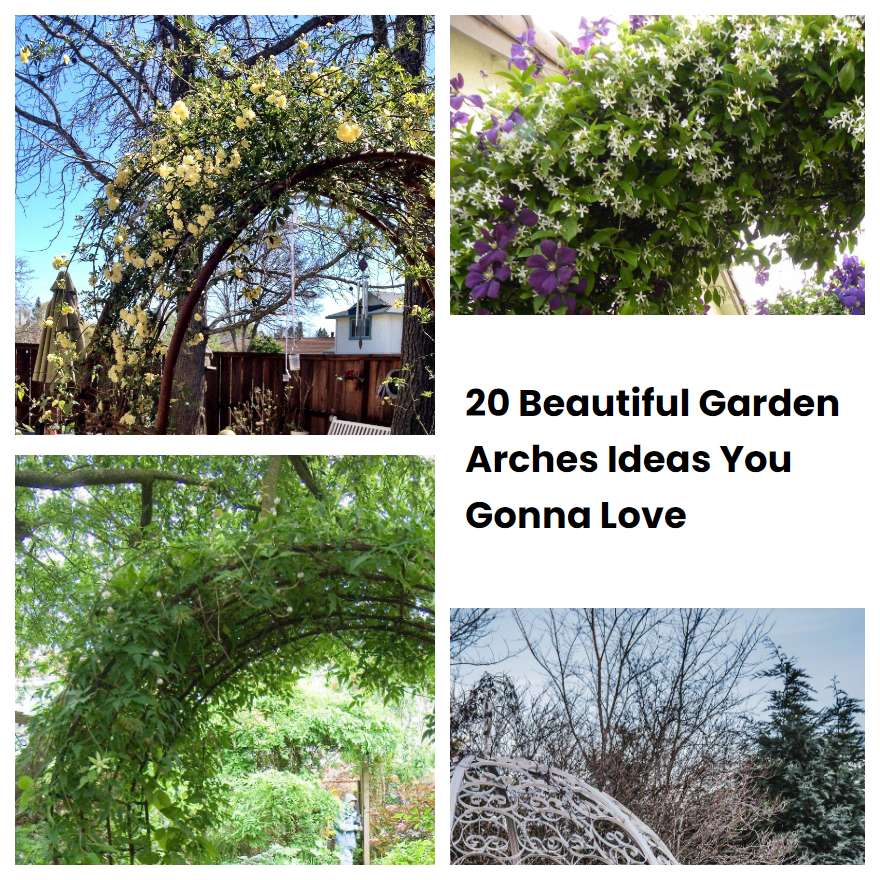 20 Beautiful Garden Arches Ideas You Gonna Love