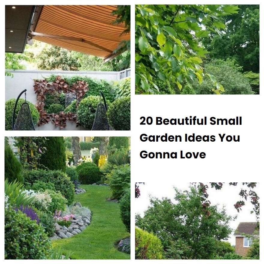 20 Beautiful Small Garden Ideas You Gonna Love