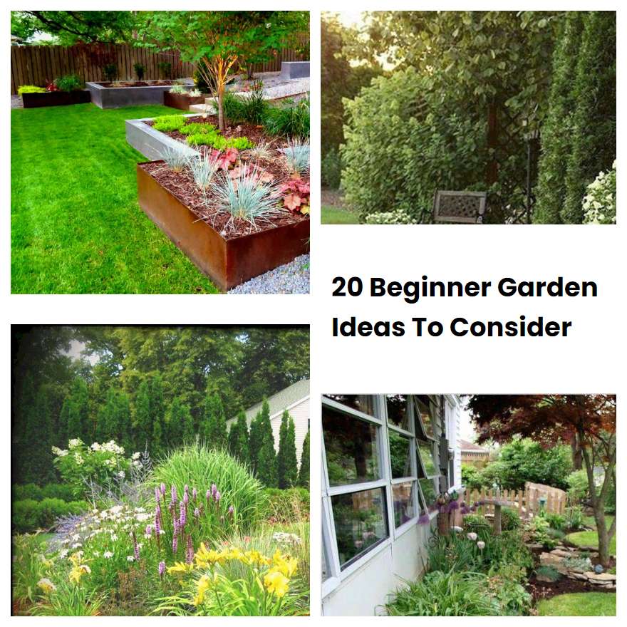 20 Beginner Garden Ideas To Consider