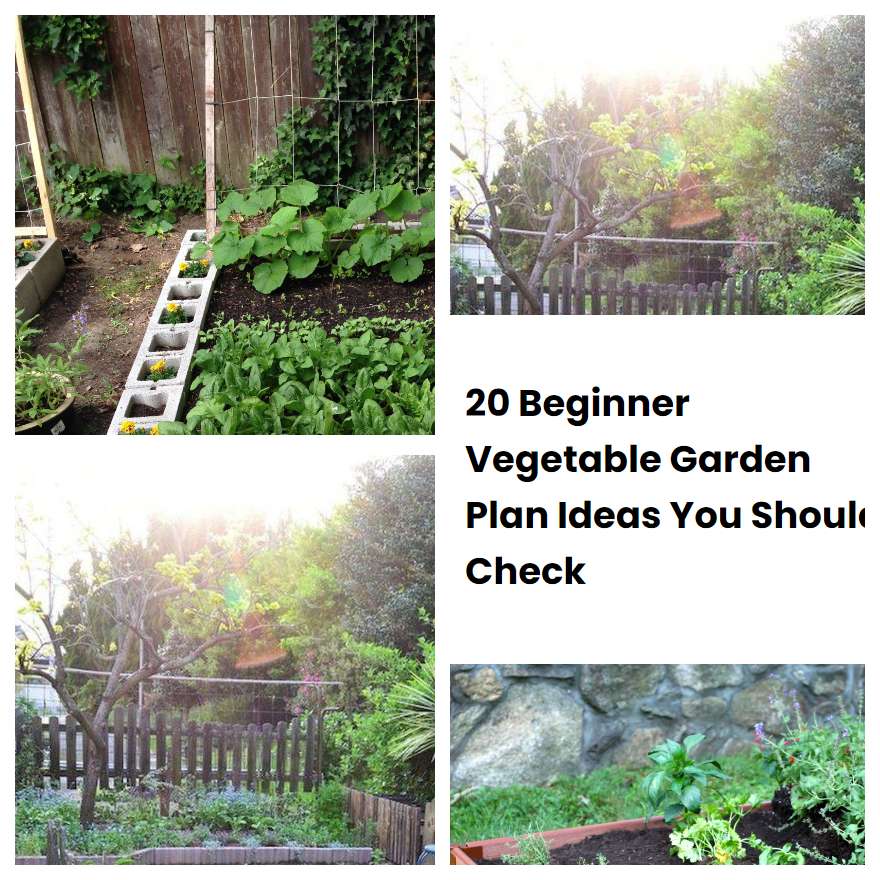 20 Beginner Vegetable Garden Plan Ideas You Should Check
