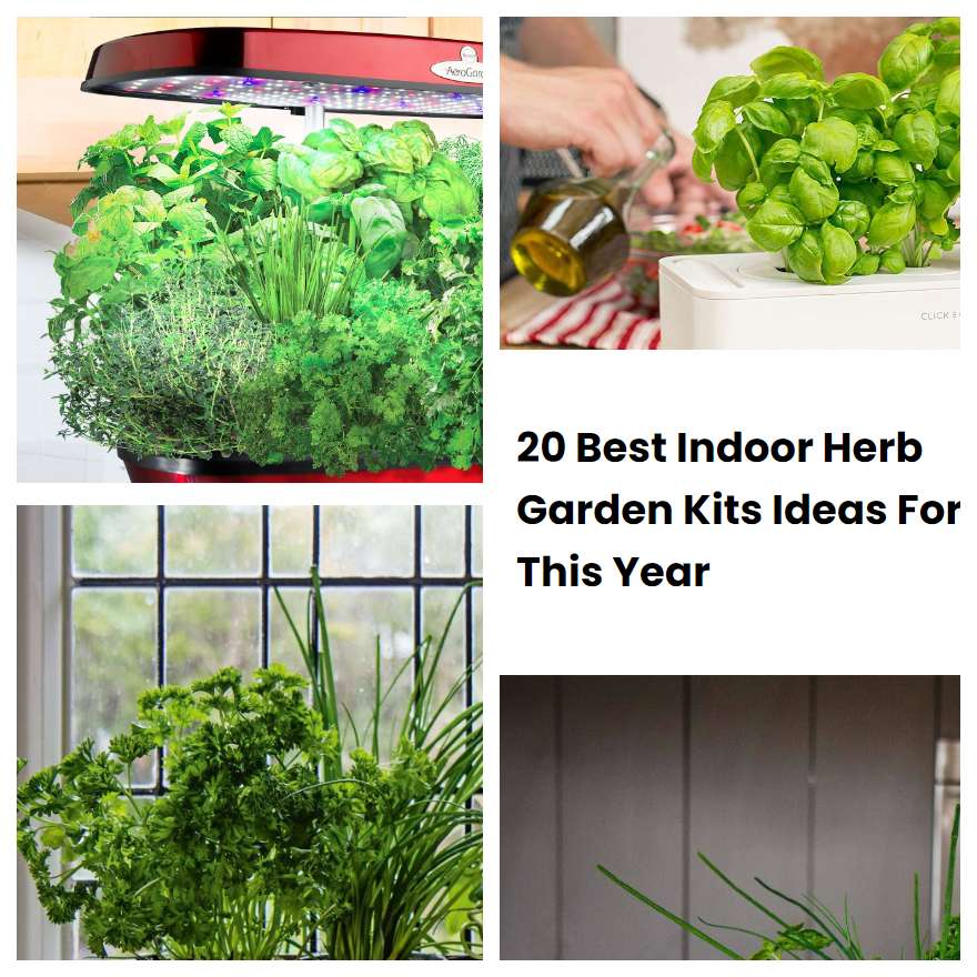 20 Best Indoor Herb Garden Kits Ideas For This Year SharonSable