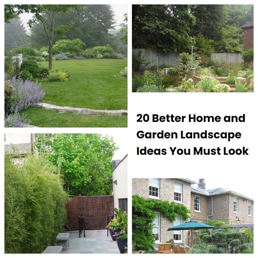 20 Better Home and Garden Landscape Ideas You Must Look