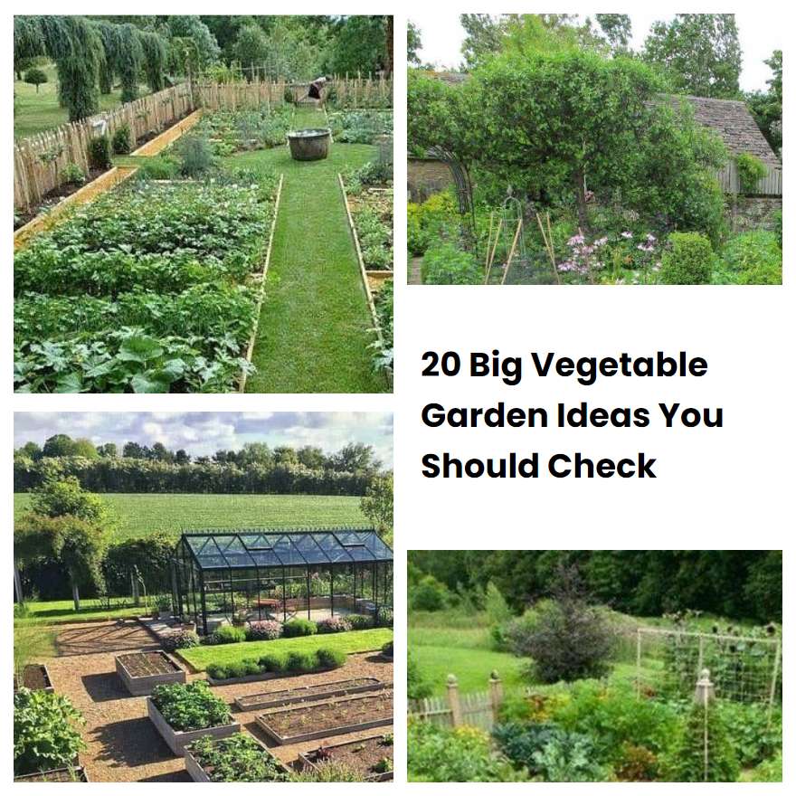 20 Big Vegetable Garden Ideas You Should Check SharonSable