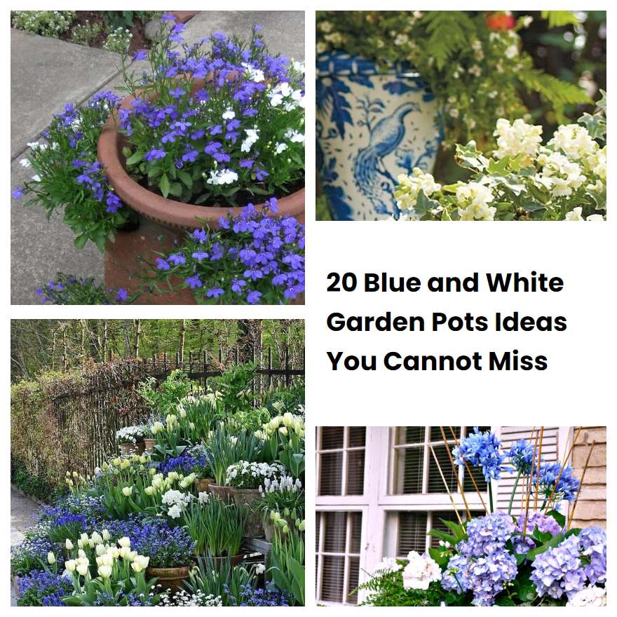 20 Blue and White Garden Pots Ideas You Cannot Miss