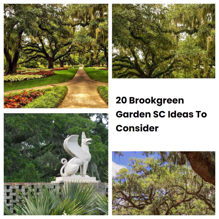 20 Brookgreen Garden SC Ideas To Consider SharonSable