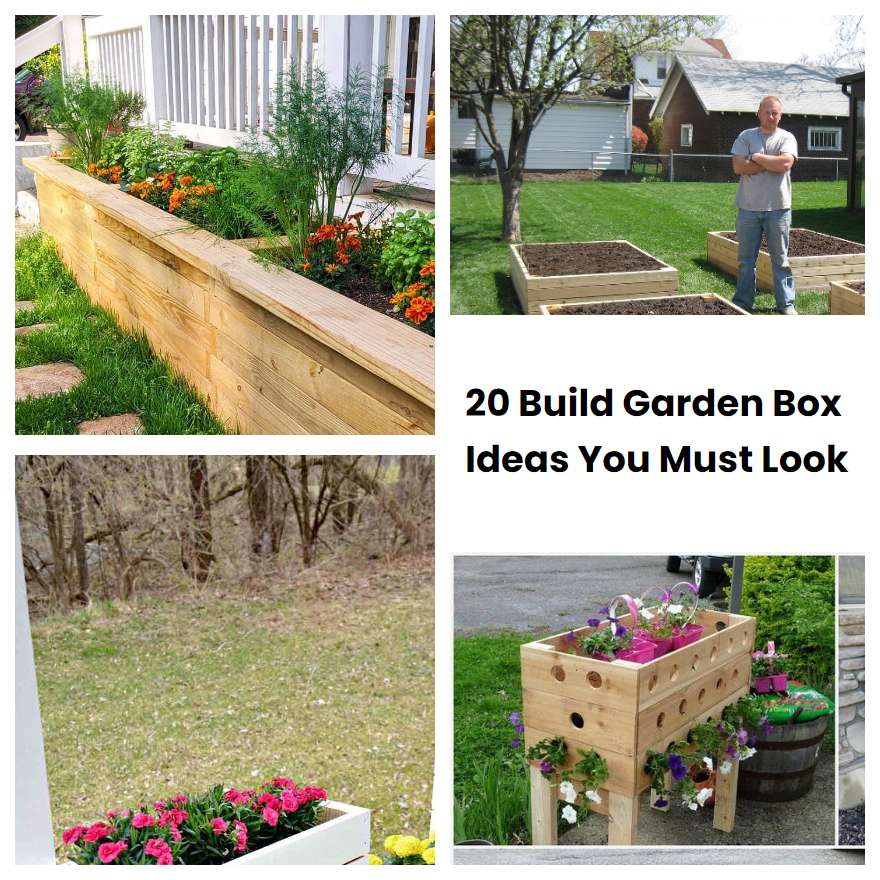20 Build Garden Box Ideas You Must Look SharonSable