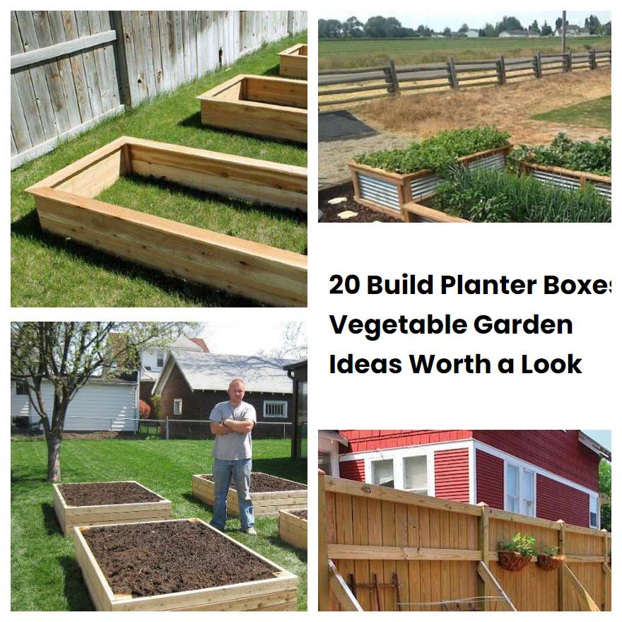 20 Build Planter Boxes Vegetable Garden Ideas Worth a Look SharonSable