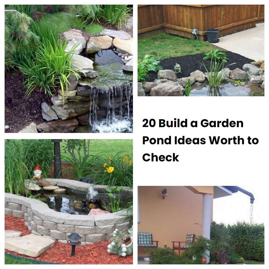 20 Build a Garden Pond Ideas Worth to Check SharonSable