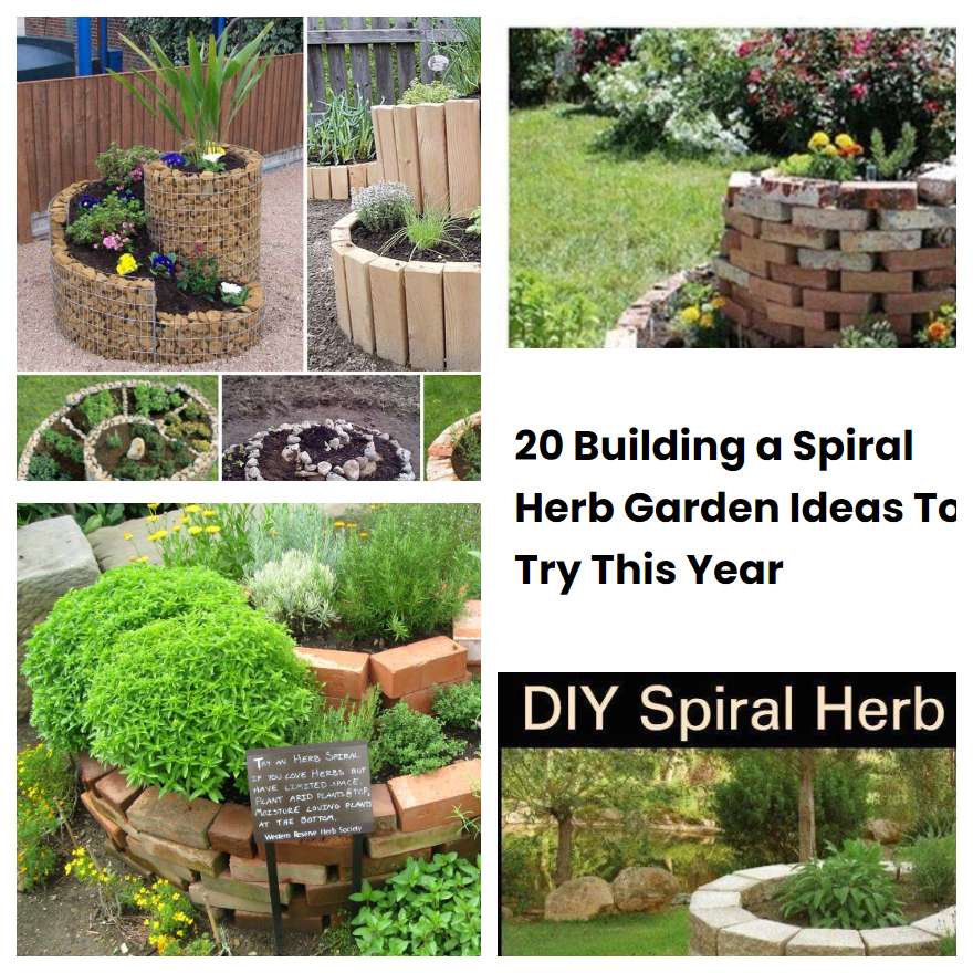 20 Building a Spiral Herb Garden Ideas To Try This Year