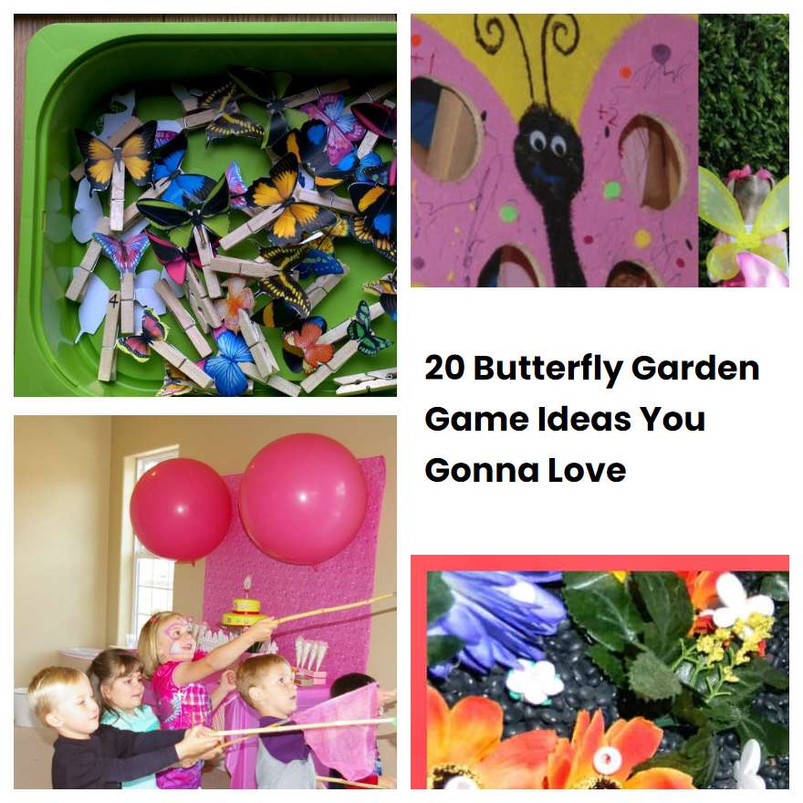 20 Butterfly Garden Game Ideas You Gonna Love