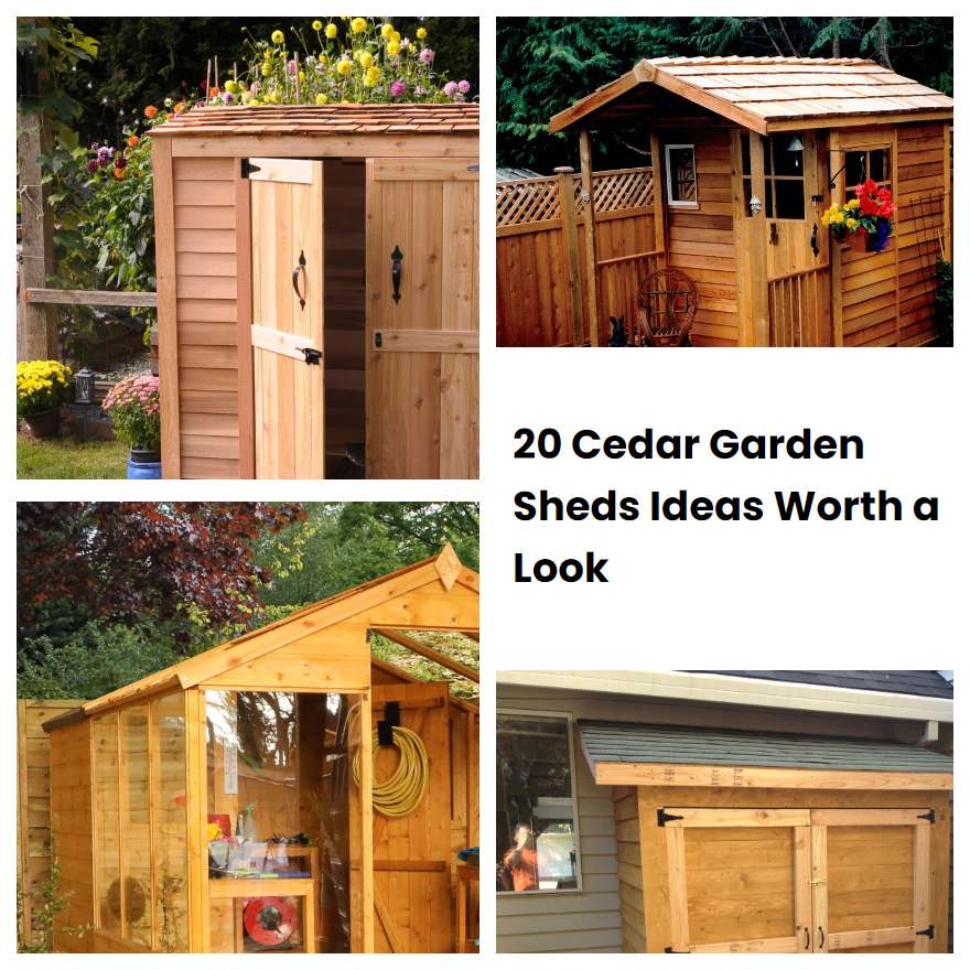 20 Cedar Garden Sheds Ideas Worth a Look