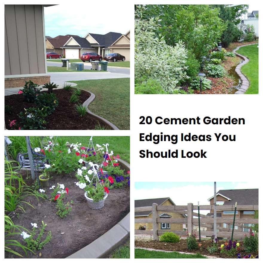 20 Cement Garden Edging Ideas You Should Look