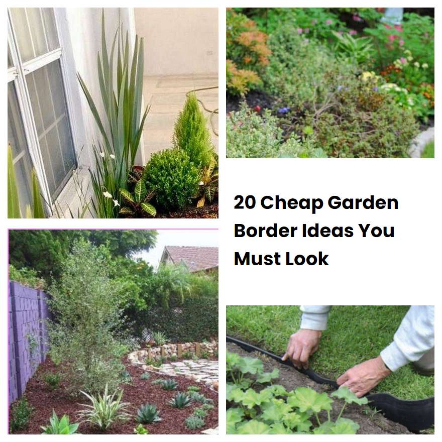 20 Cheap Garden Border Ideas You Must Look SharonSable