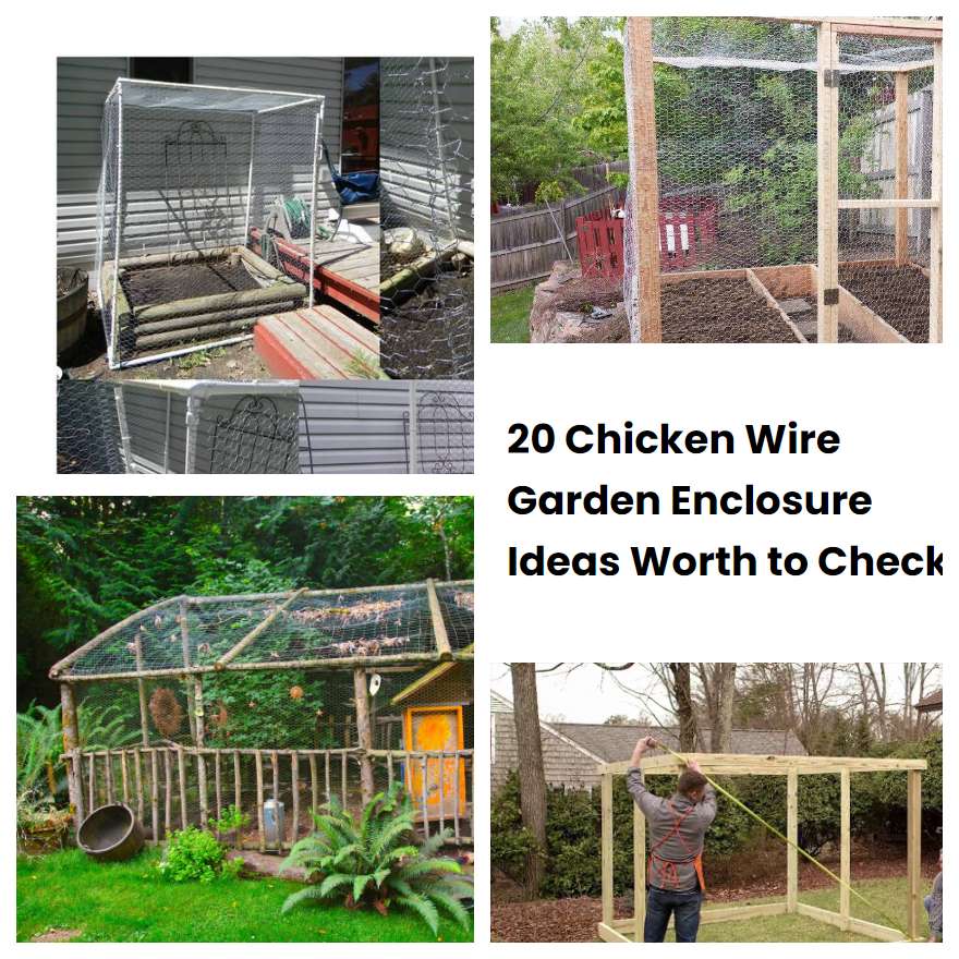 20 Chicken Wire Garden Enclosure Ideas Worth to Check SharonSable