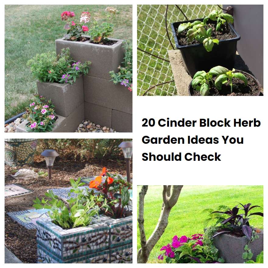 20 Cinder Block Herb Garden Ideas You Should Check