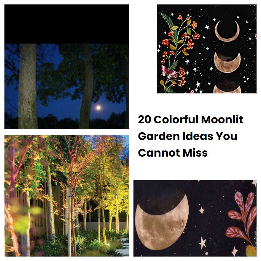 20 Colorful Moonlit Garden Ideas You Cannot Miss