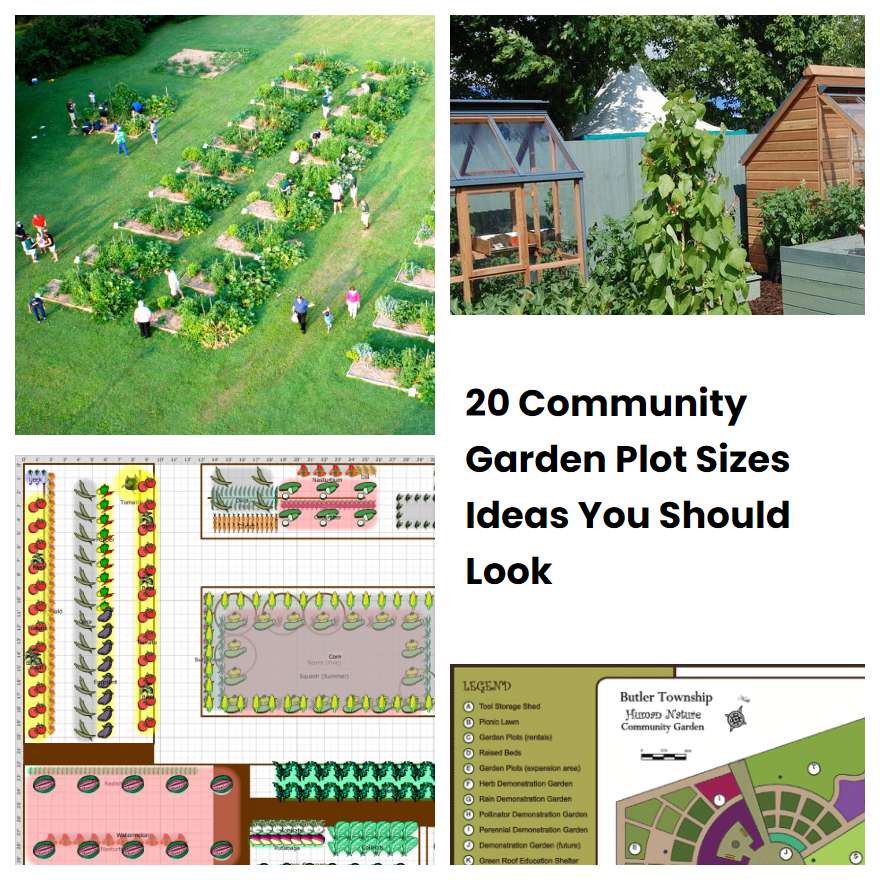 20 Community Garden Plot Sizes Ideas You Should Look SharonSable
