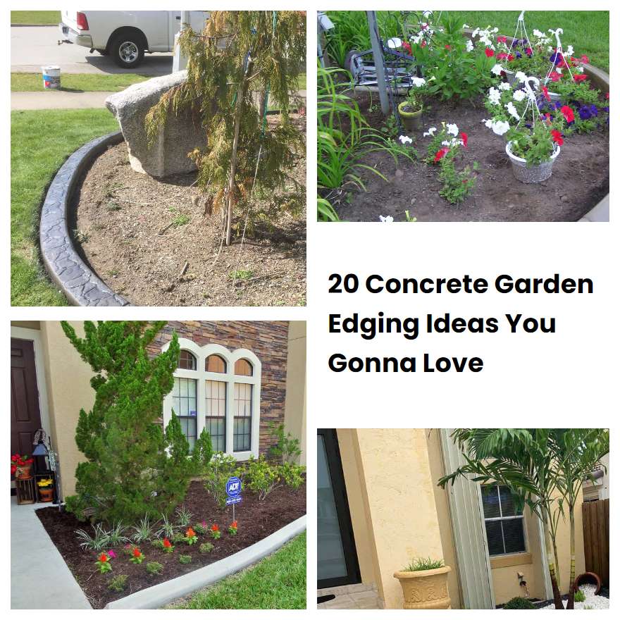 20 Concrete Garden Edging Ideas You Gonna Love