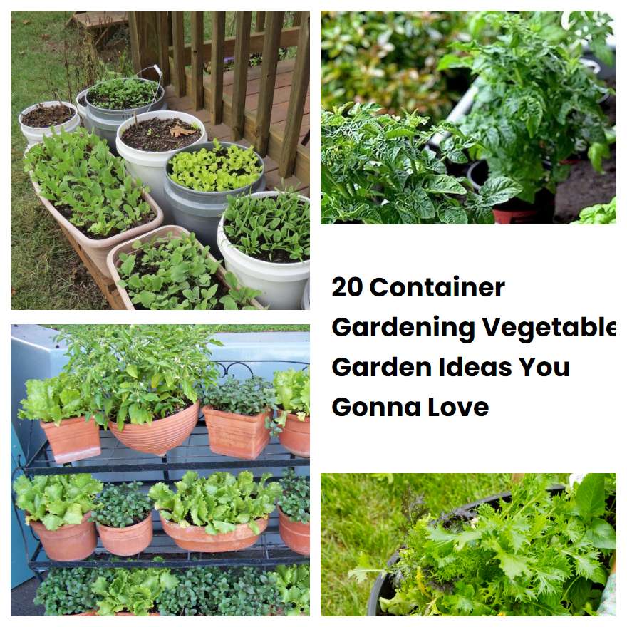 20 Container Gardening Vegetable Garden Ideas You Gonna Love