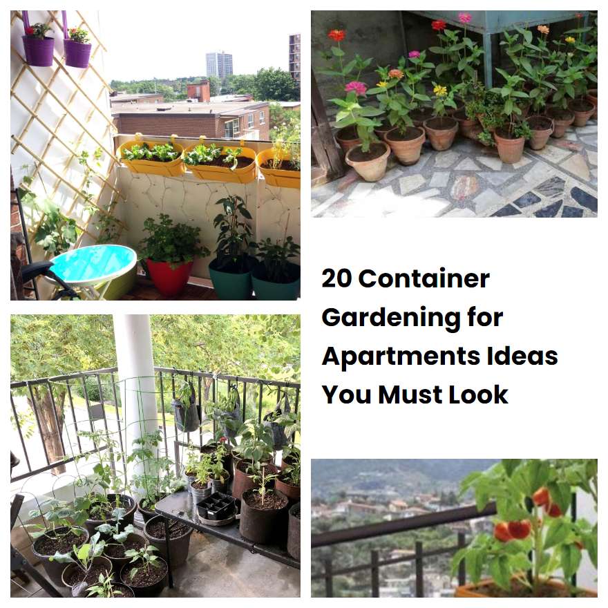 Stunning Apartment Complex With Garden image