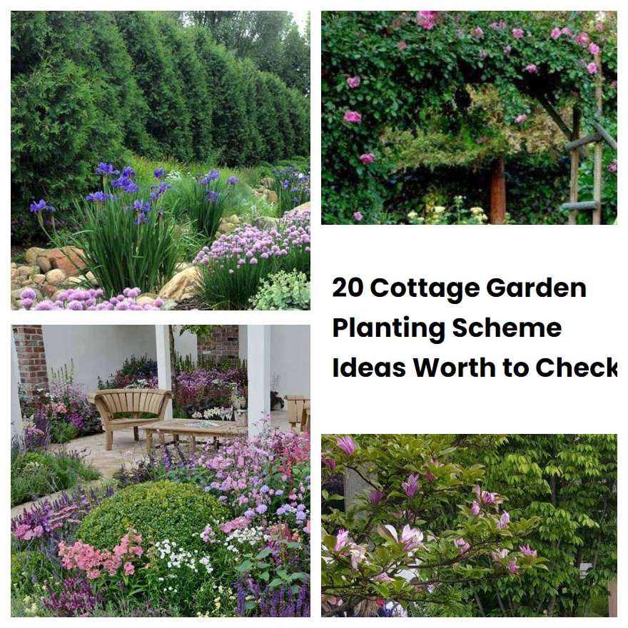20 Cottage Garden Planting Scheme Ideas Worth to Check