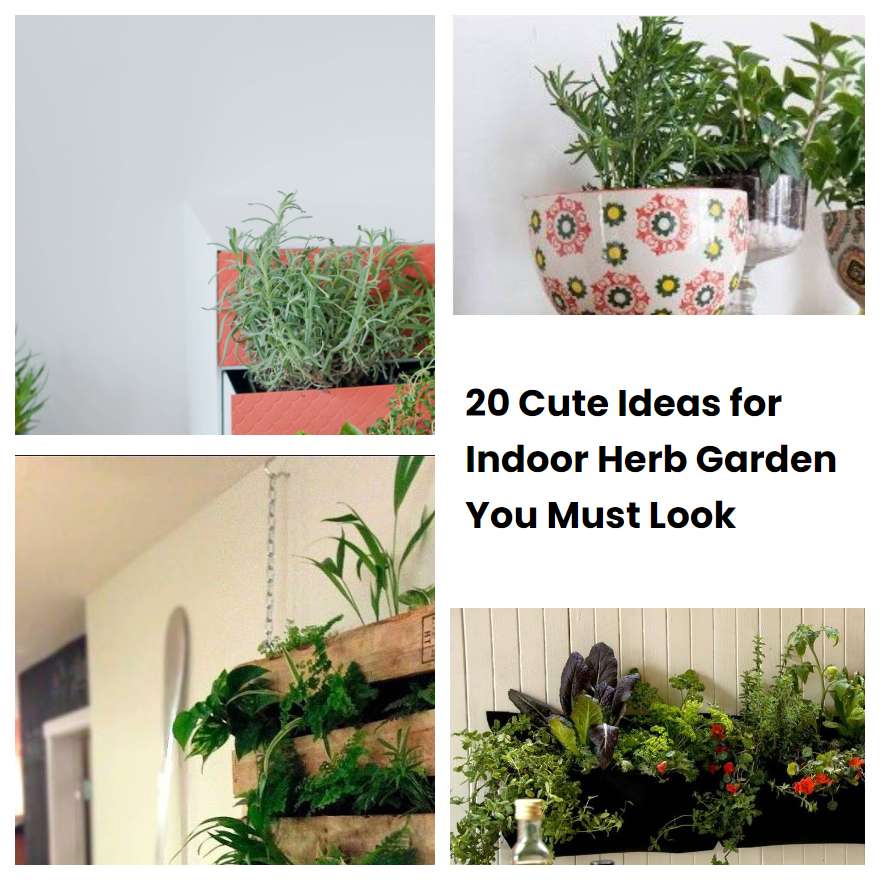 20 Cute Ideas for Indoor Herb Garden You Must Look