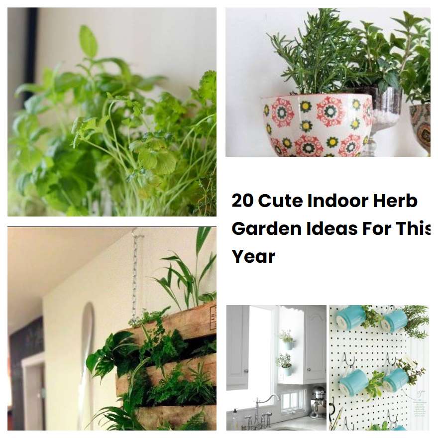 20 Cute Indoor Herb Garden Ideas For This Year