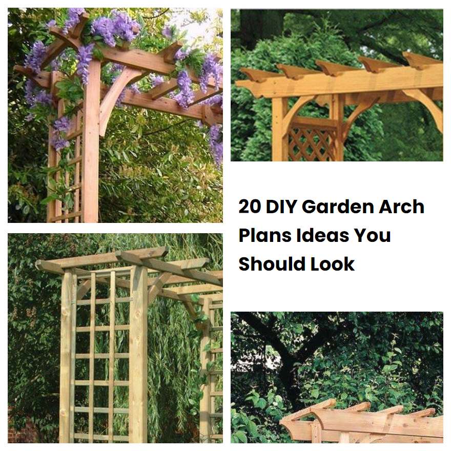 20 DIY Garden Arch Plans Ideas You Should Look SharonSable